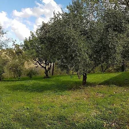 Feriehus Casale Nella Campagna Marchigiana *