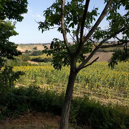 Casale Nella Campagna Marchigiana Santa Maria Nuova (Ancona)