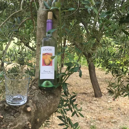 Casale Nella Campagna Marchigiana *