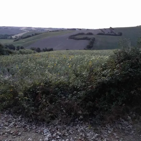 Casale Nella Campagna Marchigiana * Santa Maria Nuova (Ancona)